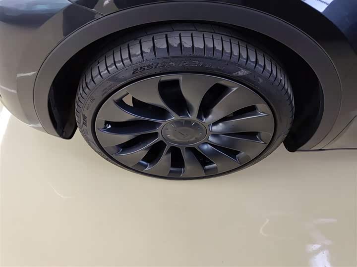 Tesla Model Y 2024 2024款 后轮驱动版