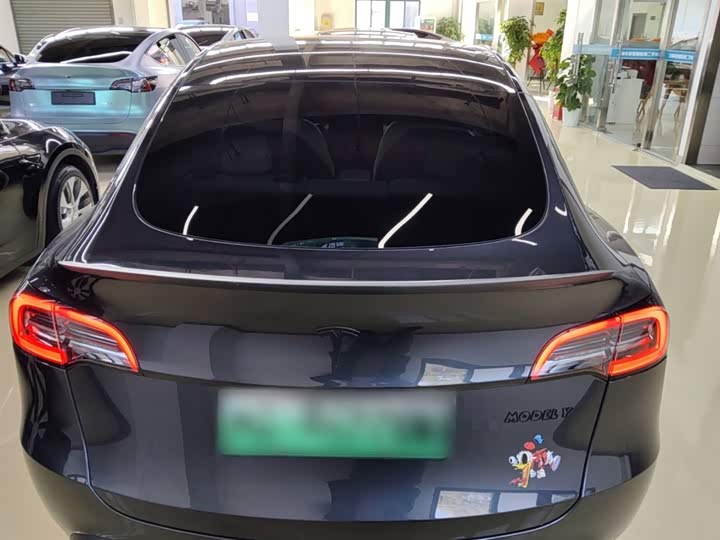 Tesla Model Y 2024 2024款 后轮驱动版