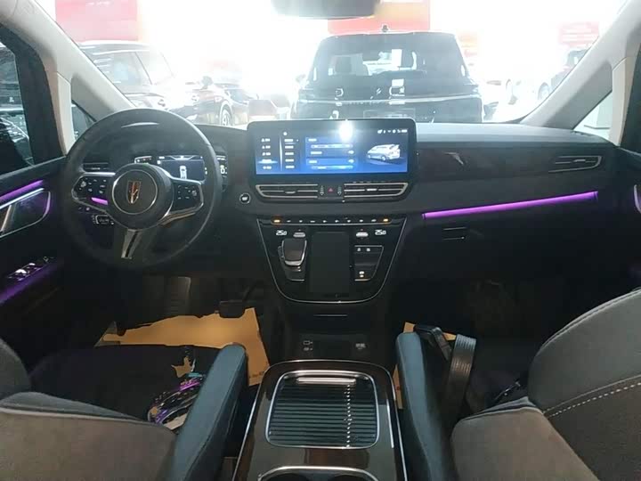 Hongqi HQ9 2023 2023款 2.0T 智联旗享版