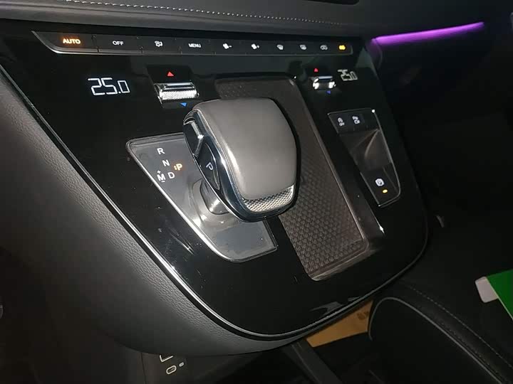 Hongqi HQ9 2023 2023款 2.0T 智联旗享版