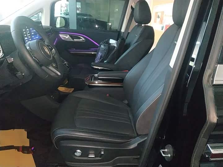 Hongqi HQ9 2023 2023款 2.0T 智联旗享版