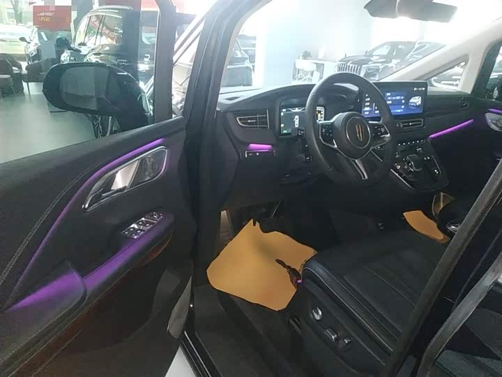 Hongqi HQ9 2023 2023款 2.0T 智联旗享版