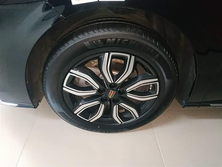 Hongqi HQ9 2023 2023款 2.0T 智联旗享版