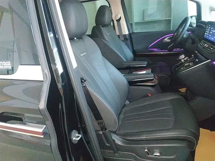 Hongqi HQ9 2023 2023款 2.0T 智联旗享版