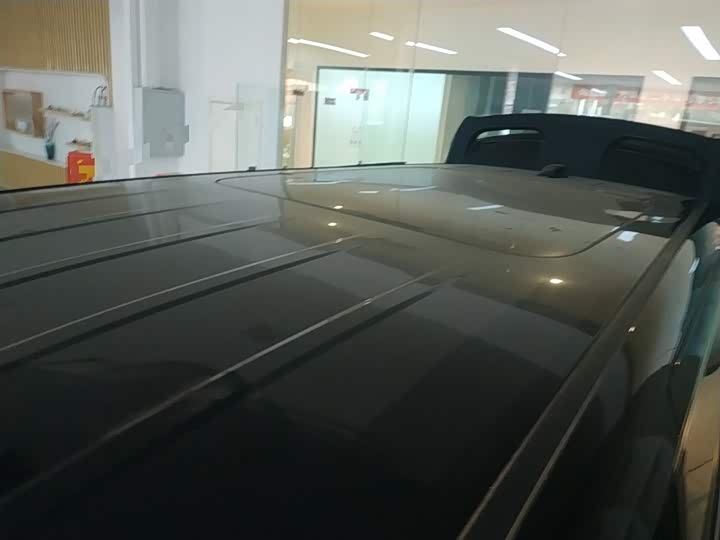 Hongqi HQ9 2023 2023款 2.0T 智联旗享版