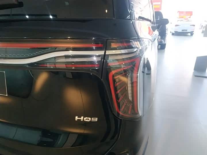 Hongqi HQ9 2023 2023款 2.0T 智联旗享版