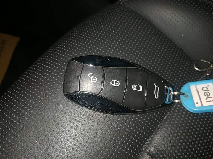 Hongqi HQ9 2023 2023款 2.0T 智联旗享版