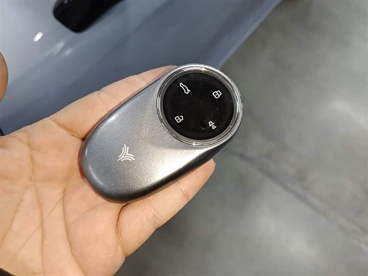 Hozon S Hunting 2024 2024款 增程300 标准版