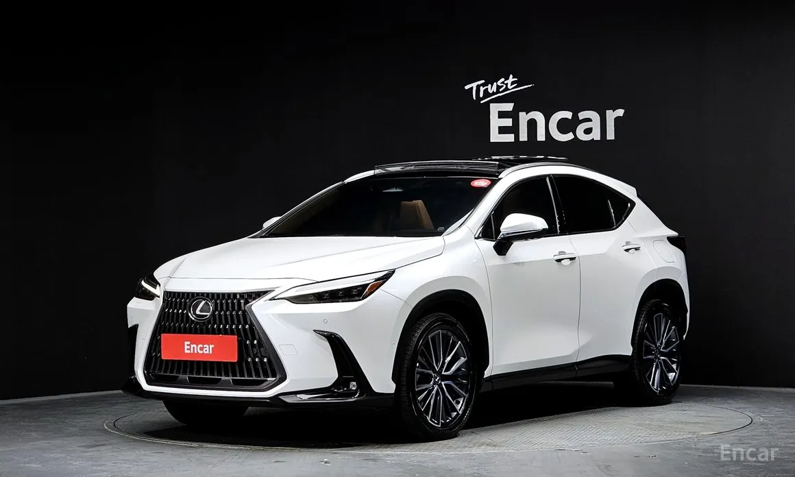 Lexus NX 2022 Luxury