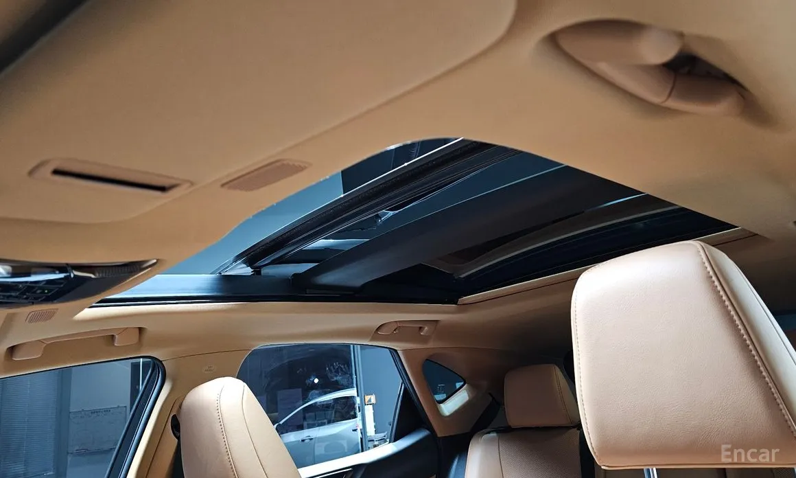 Lexus NX 2022 Luxury