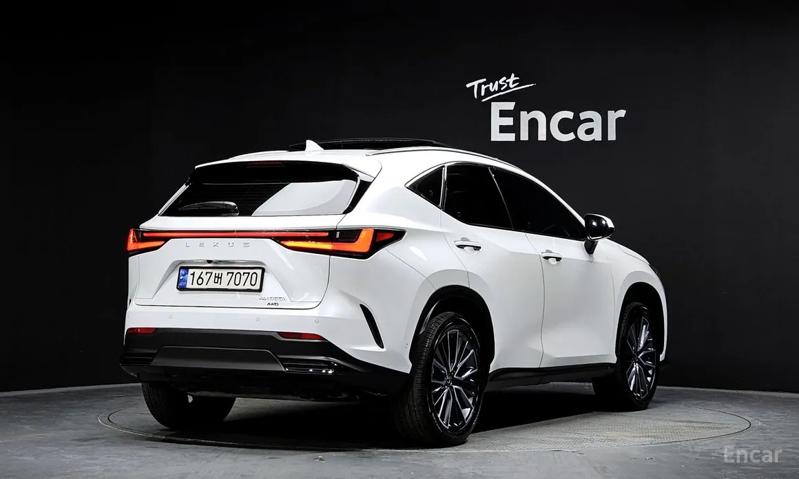Lexus NX 2022 Luxury