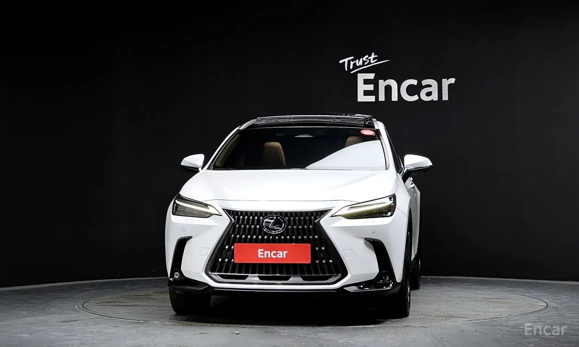 Lexus NX 2022 Luxury