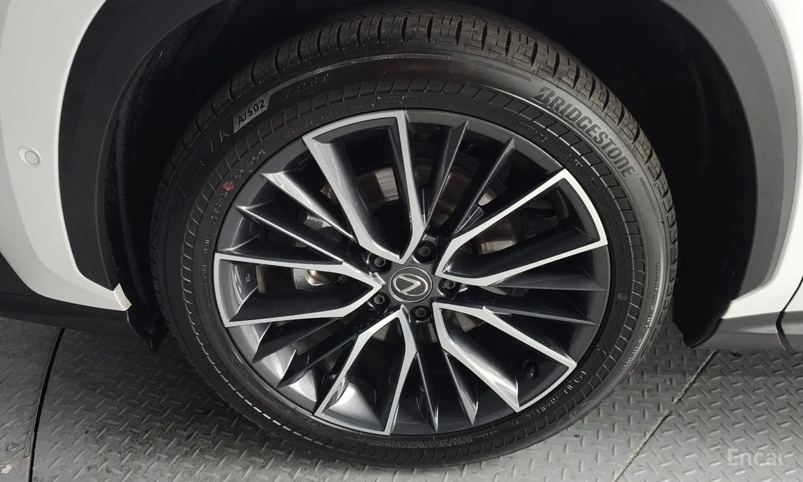 Lexus NX 2022 Luxury