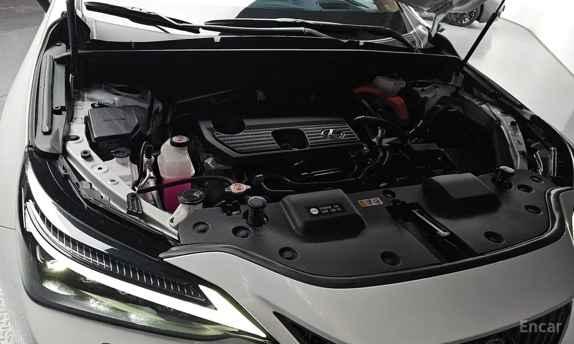 Lexus NX 2022 Luxury