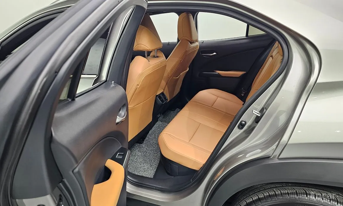 Lexus UX 2024 2.0 2WD