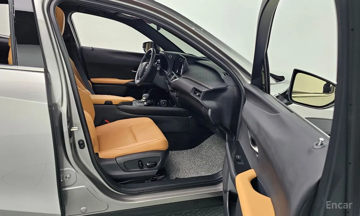 Lexus UX 2024 2.0 2WD