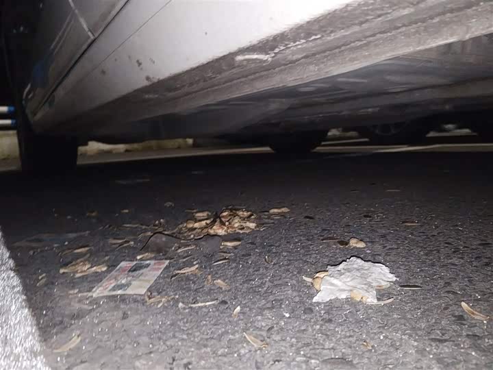 Buick Excelle GT 2021 2021款 改款 典范 1.5L 自动精英型