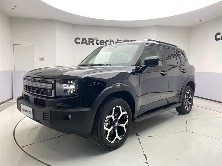 Jetour Shanhai T1 2024 2024款 150km 向海