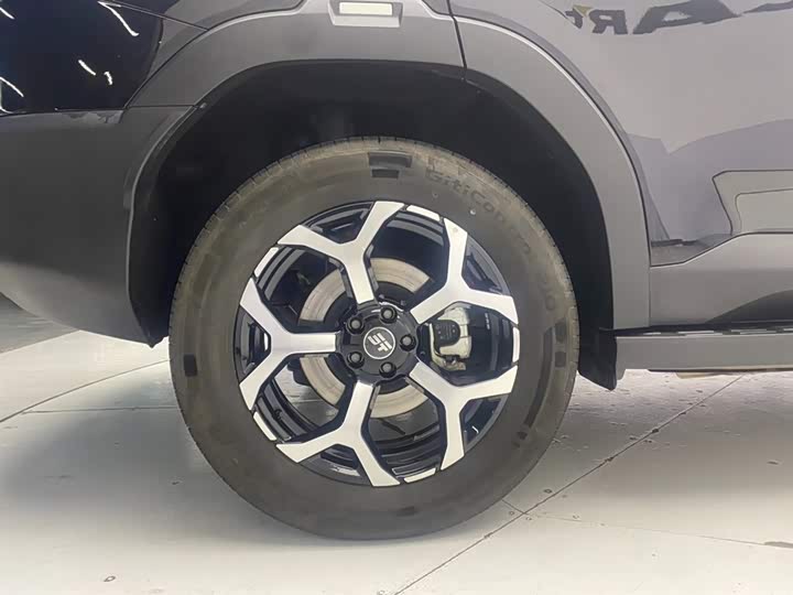 Jetour Shanhai T1 2024 2024款 150km 向海