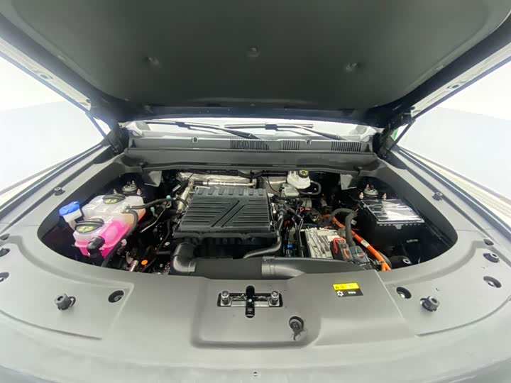 Jetour Shanhai T1 2024 2024款 150km 向海