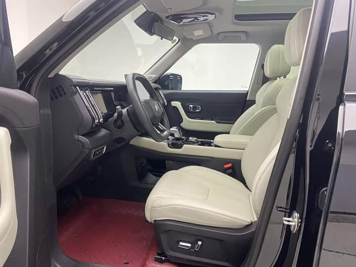 Jetour Shanhai T1 2024 2024款 150km 向海