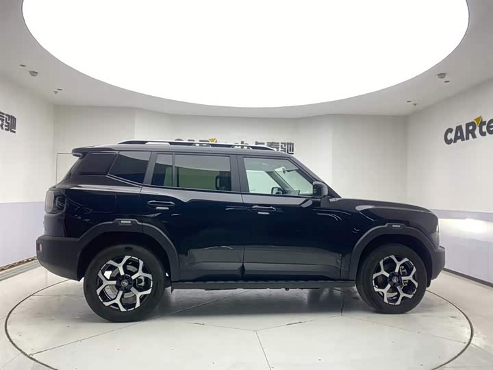 Jetour Shanhai T1 2024 2024款 150km 向海