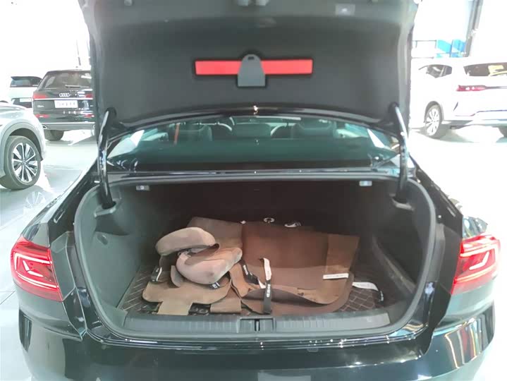 Volkswagen Magotan GTE Hybrid 2022 2022款 GTE 豪华型