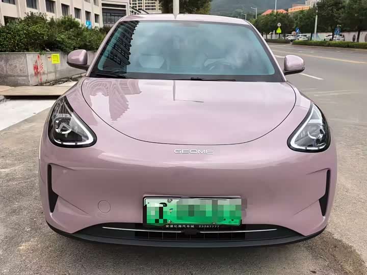 Geely Galaxy Geome 2025 2025款 310km 青春版