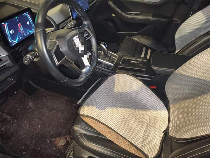 BYD Qin Pro 2020 2020款 超越版 1.5TI 自动尊贵型