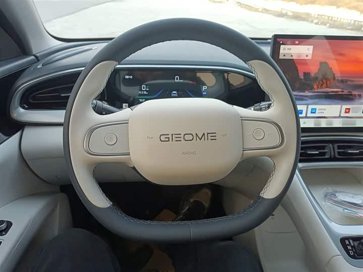 Geely Galaxy Geome 2026 2026款 310km 梦想版