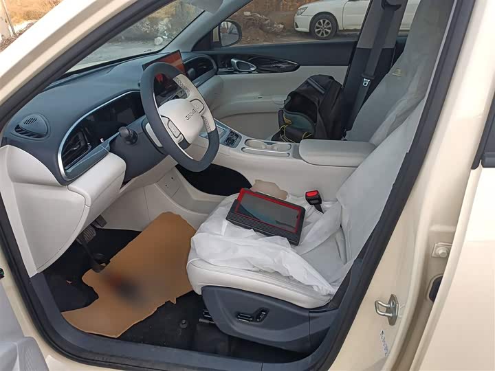 Geely Galaxy Geome 2026 2026款 310km 梦想版