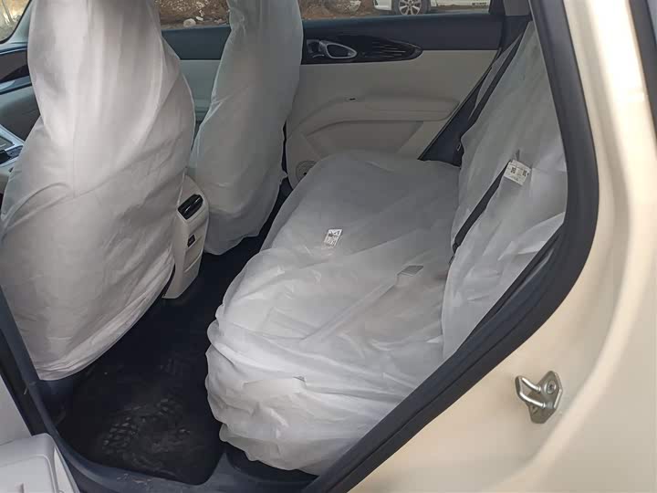 Geely Galaxy Geome 2026 2026款 310km 梦想版