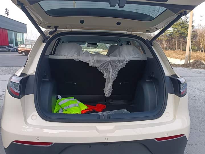 Geely Galaxy Geome 2026 2026款 310km 梦想版