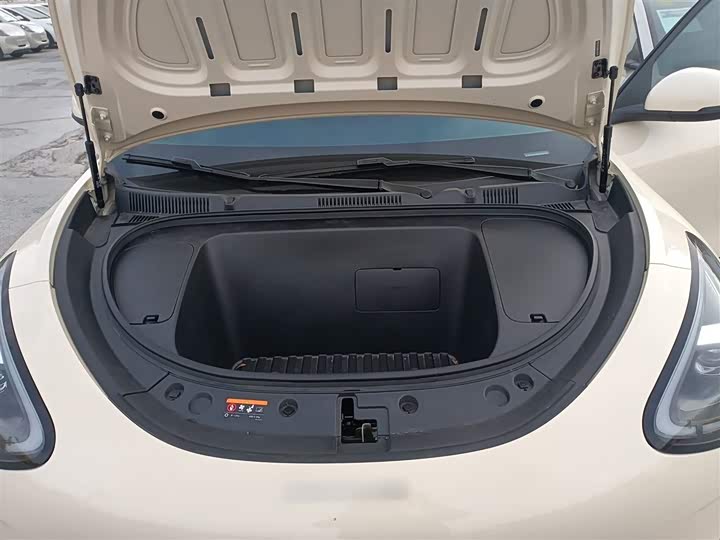 Geely Galaxy Geome 2026 2026款 310km 梦想版