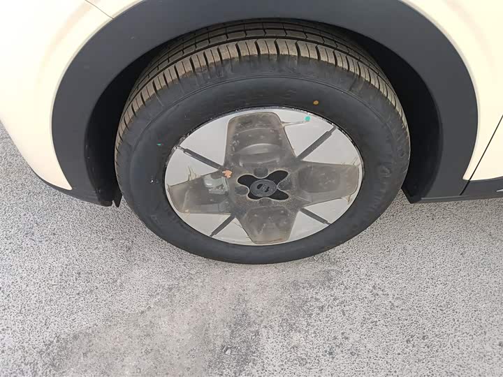 Geely Galaxy Geome 2026 2026款 310km 梦想版