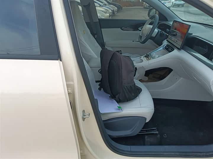 Geely Galaxy Geome 2026 2026款 310km 梦想版