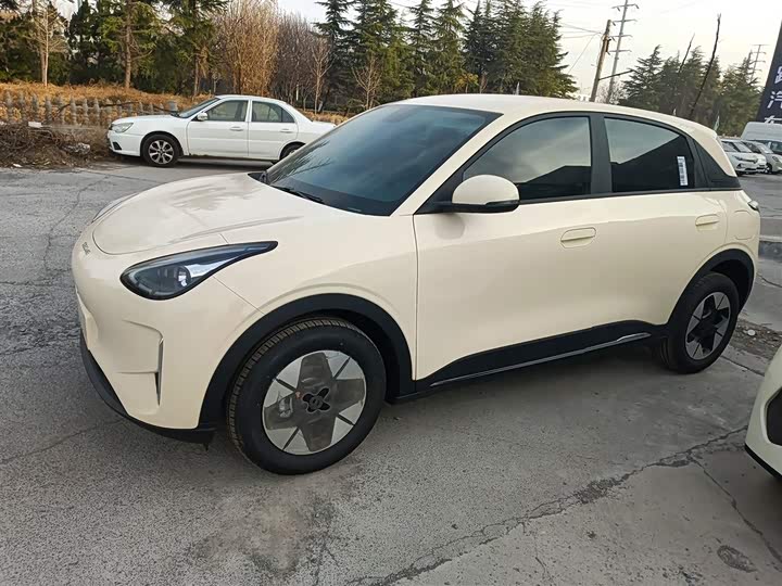 Geely Galaxy Geome 2026 2026款 310km 梦想版