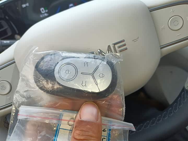 Geely Galaxy Geome 2026 2026款 310km 梦想版