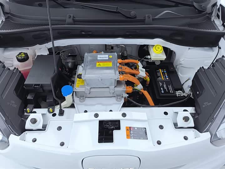 Roewe Clever 2022 2022款 311km元气啵啵版