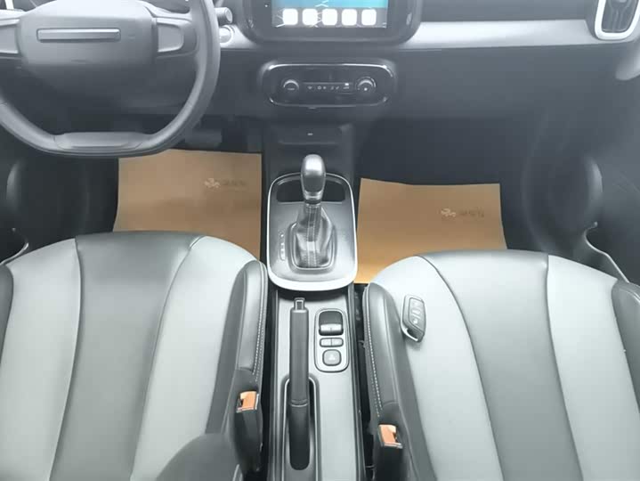 Roewe Clever 2022 2022款 311km元气啵啵版