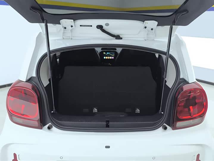 Roewe Clever 2022 2022款 311km元气啵啵版