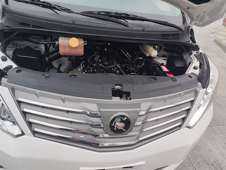 Dongfeng Forthing Lingzhi Plus 2021 2021款 旅行版 2.0L 手动豪华型 7座