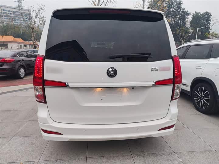 Dongfeng Forthing Lingzhi Plus 2021 2021款 旅行版 2.0L 手动豪华型 7座