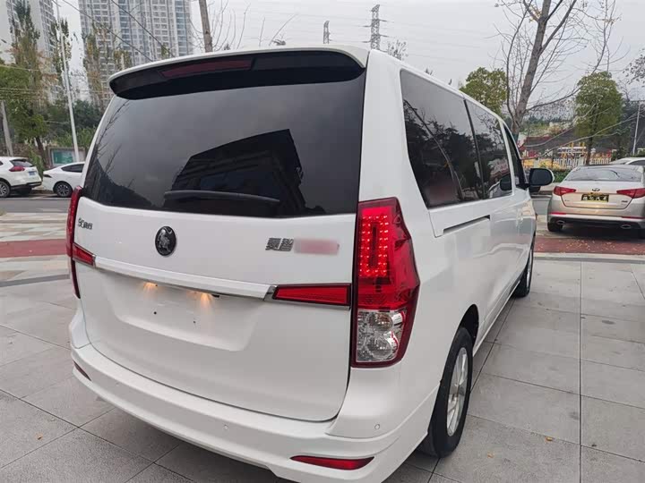 Dongfeng Forthing Lingzhi Plus 2021 2021款 旅行版 2.0L 手动豪华型 7座