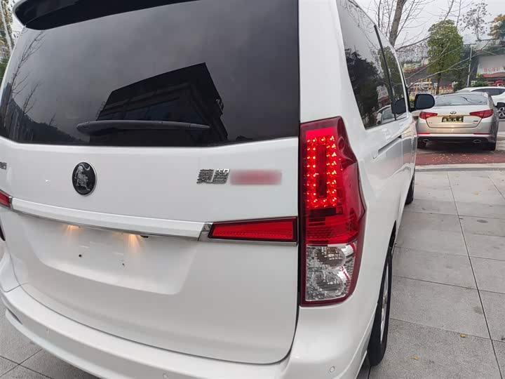 Dongfeng Forthing Lingzhi Plus 2021 2021款 旅行版 2.0L 手动豪华型 7座