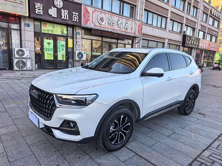 Haval H6 2025 2025款 1.5T 国潮都市版