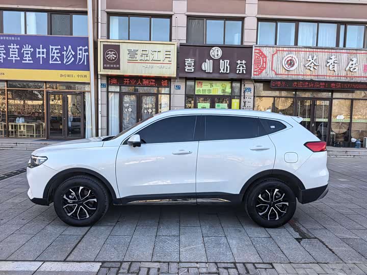 Haval H6 2025 2025款 1.5T 国潮都市版