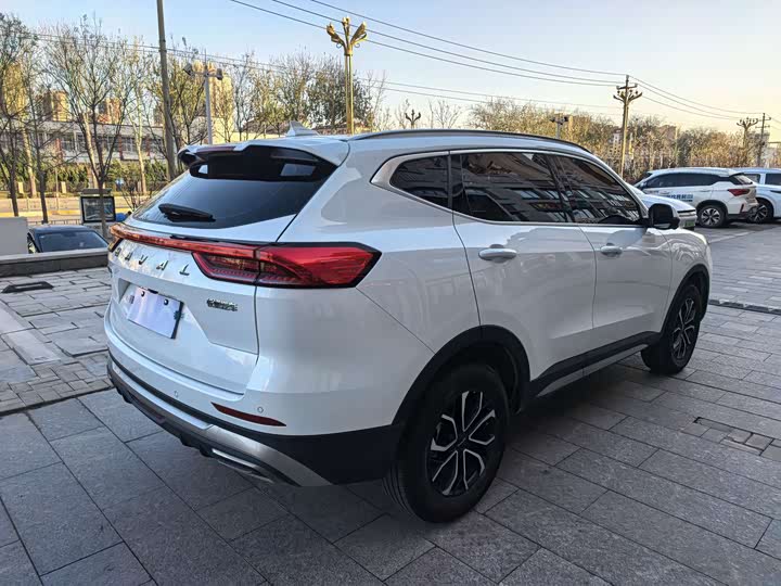 Haval H6 2025 2025款 1.5T 国潮都市版