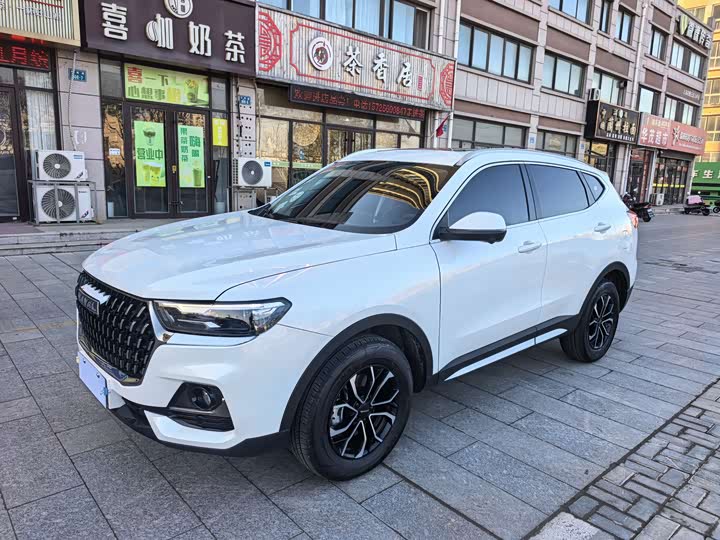 Haval H6 2025 2025款 1.5T 国潮都市版