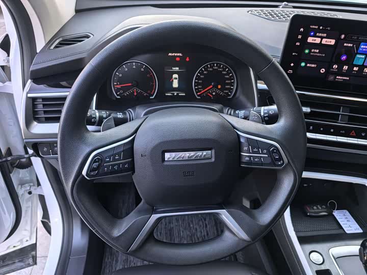 Haval H6 2025 2025款 1.5T 国潮都市版